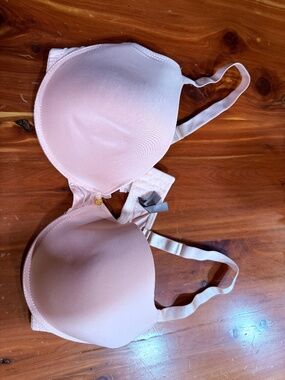 Daisey Fuentes bra 42 D NWOT